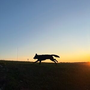 Meet your Posher, Claire